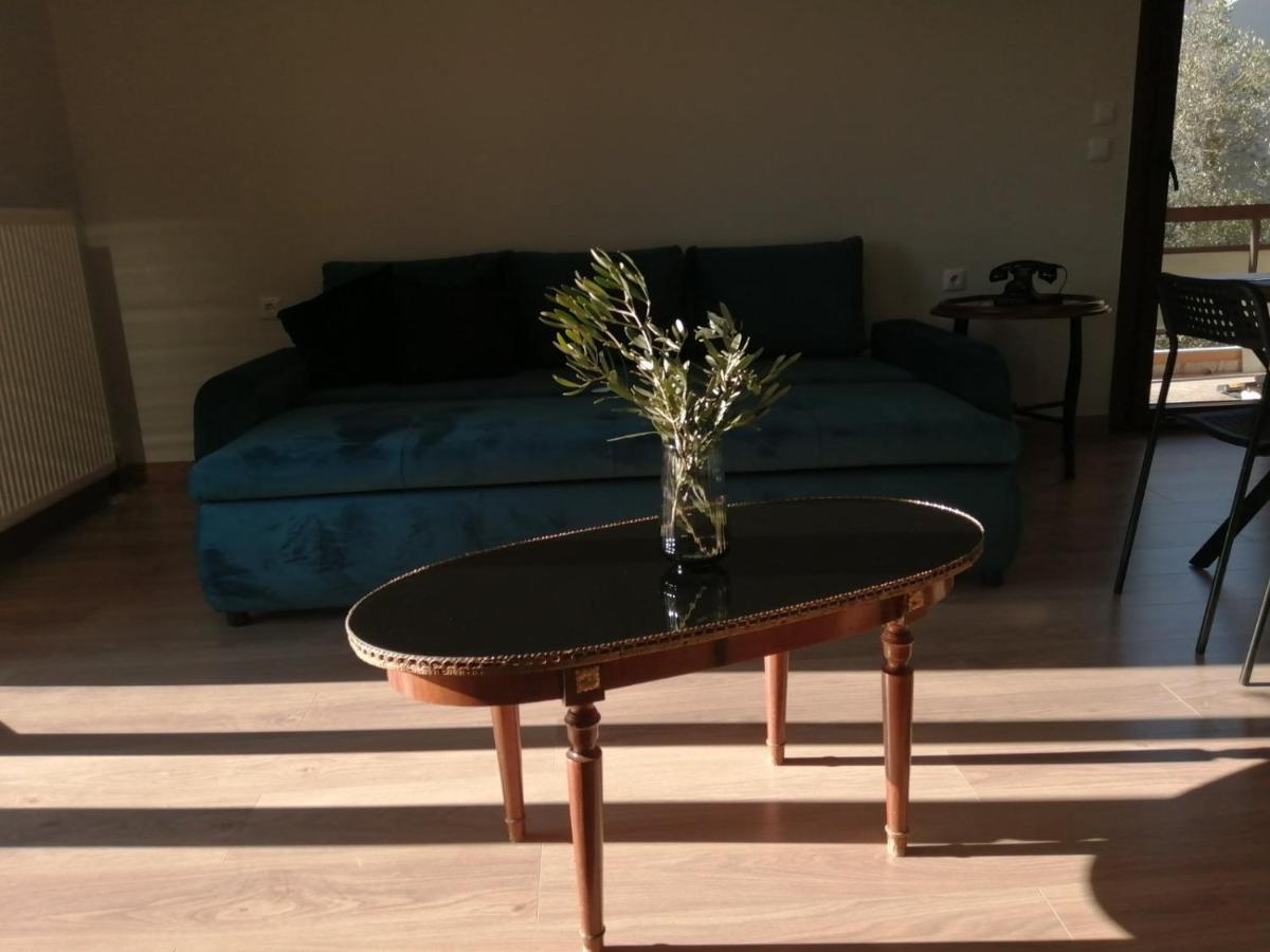 Appartement Eleana à Ioannina Extérieur photo